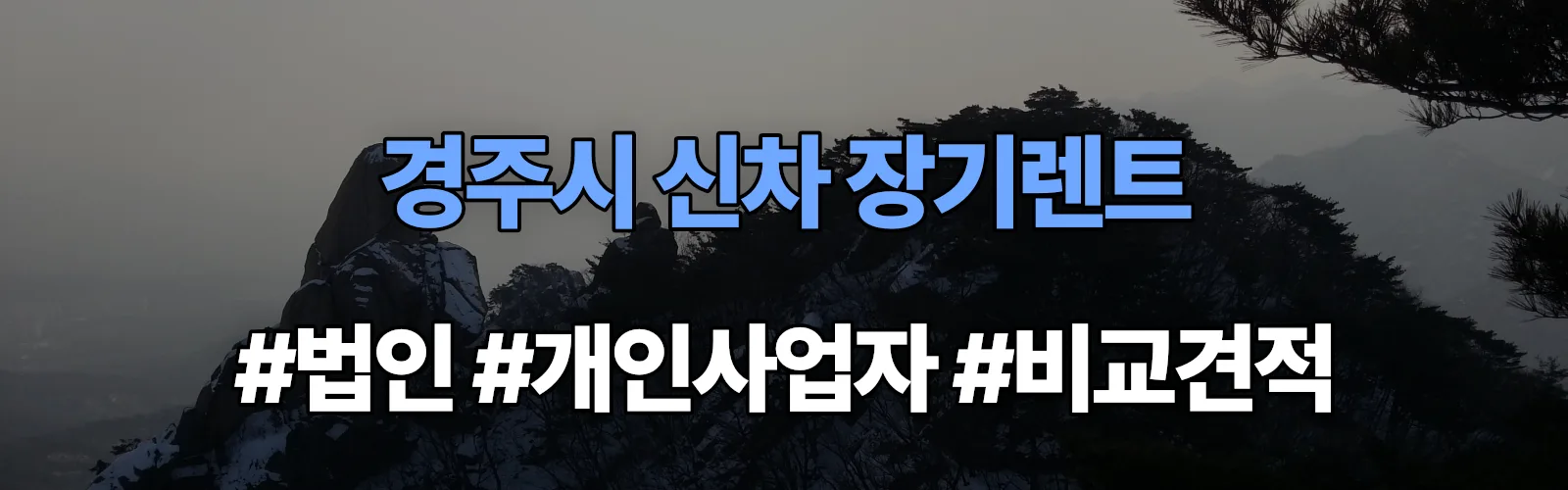 경주시 신차 장기렌트 비교견적
