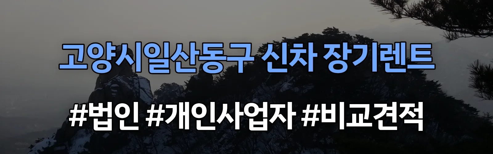 고양시일산동구 신차 장기렌트 비교견적