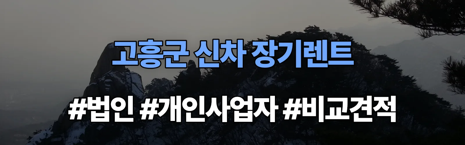 고흥군 신차 장기렌트 비교견적