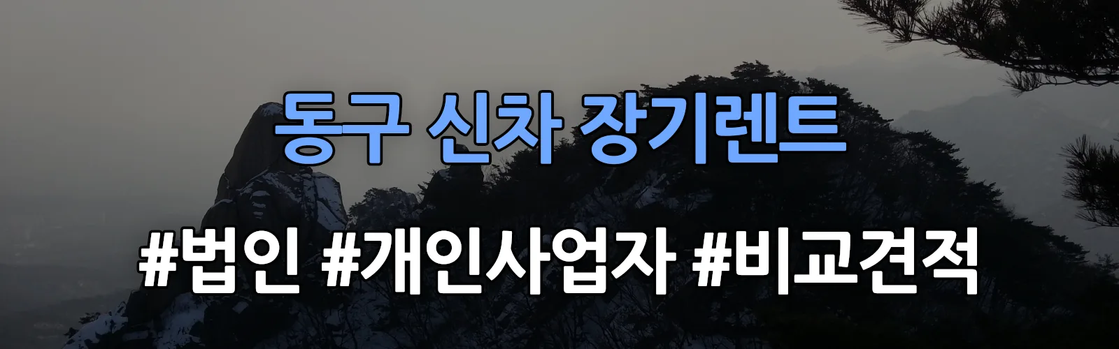 광주 동구 신차 장기렌트 비교견적