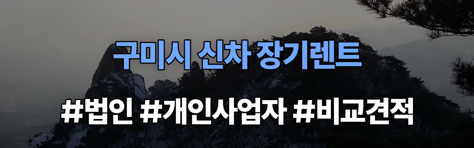 구미시 신차 장기렌트 비교견적