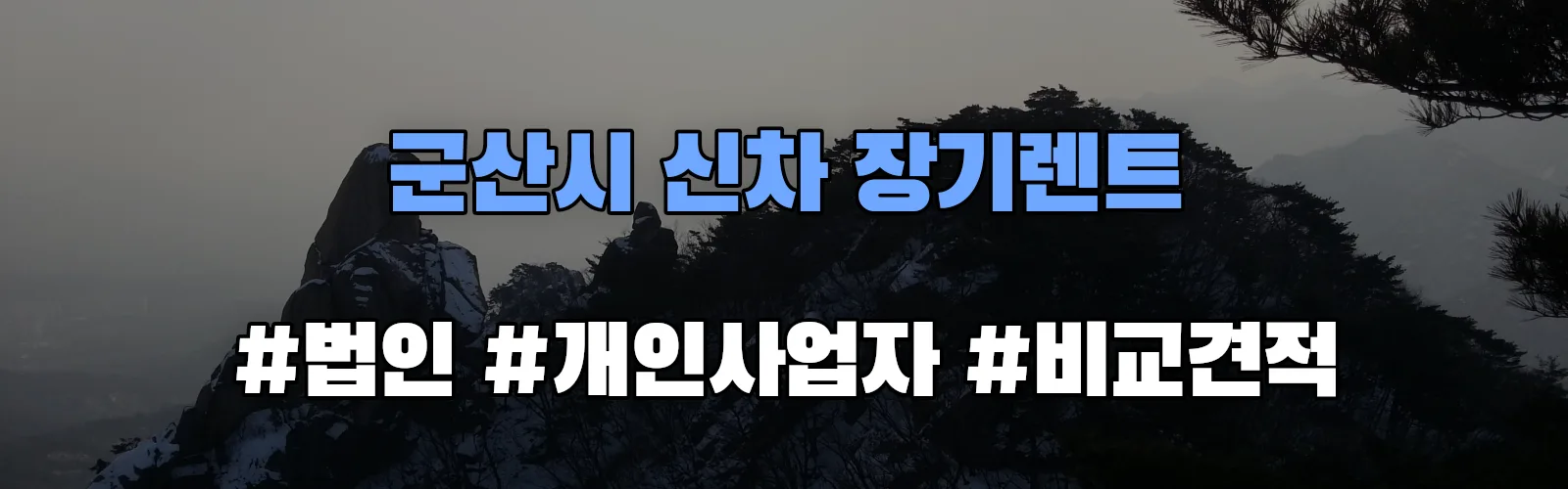 군산시 신차 장기렌트 비교견적