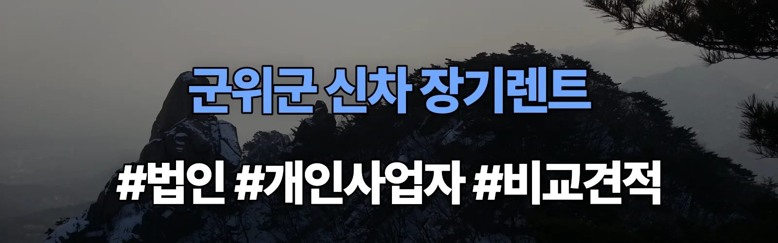 군위군 신차 장기렌트 비교견적