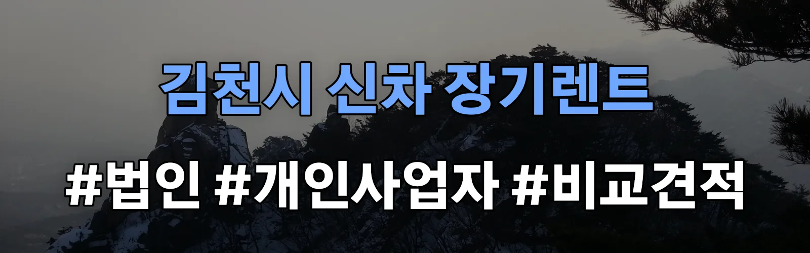 김천시 신차 장기렌트 비교견적
