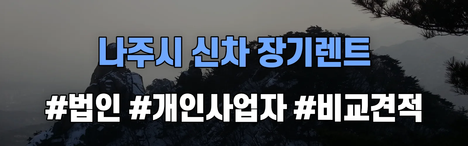 나주시 신차 장기렌트 비교견적