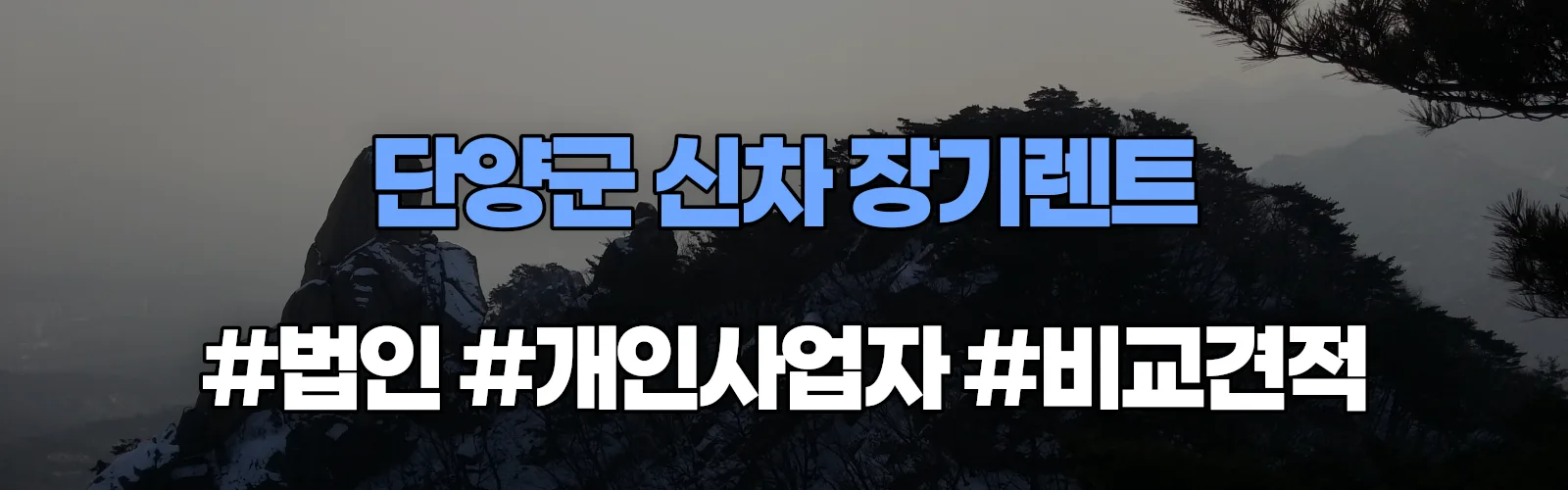 단양군 신차 장기렌트 비교견적