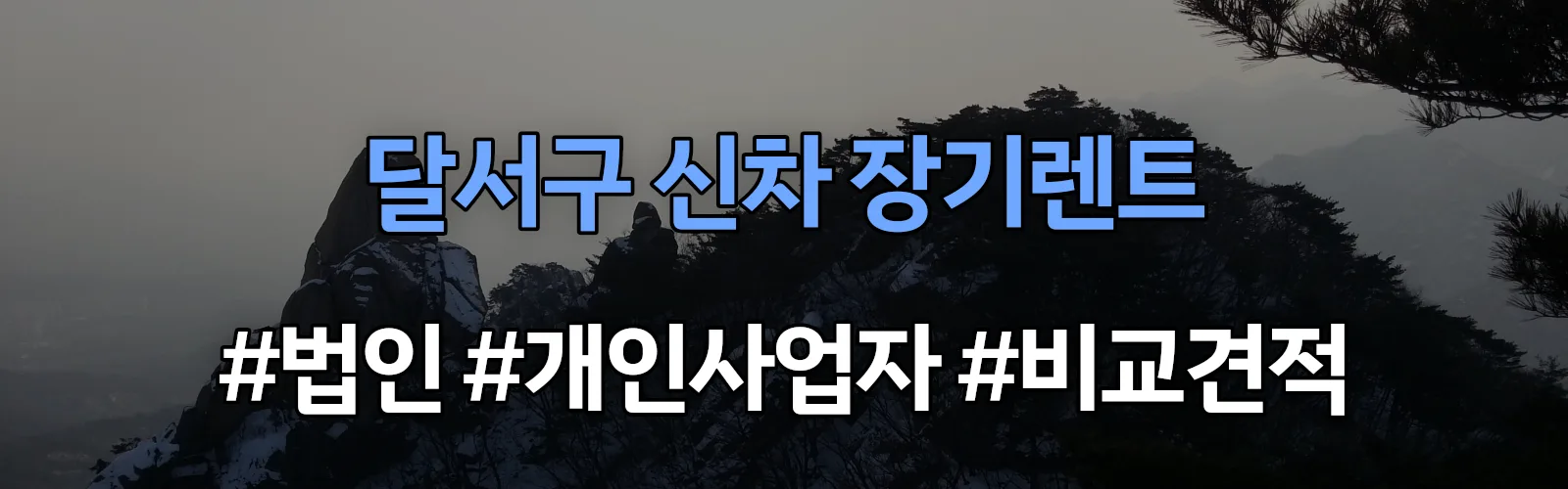 달서구 신차 장기렌트 비교견적