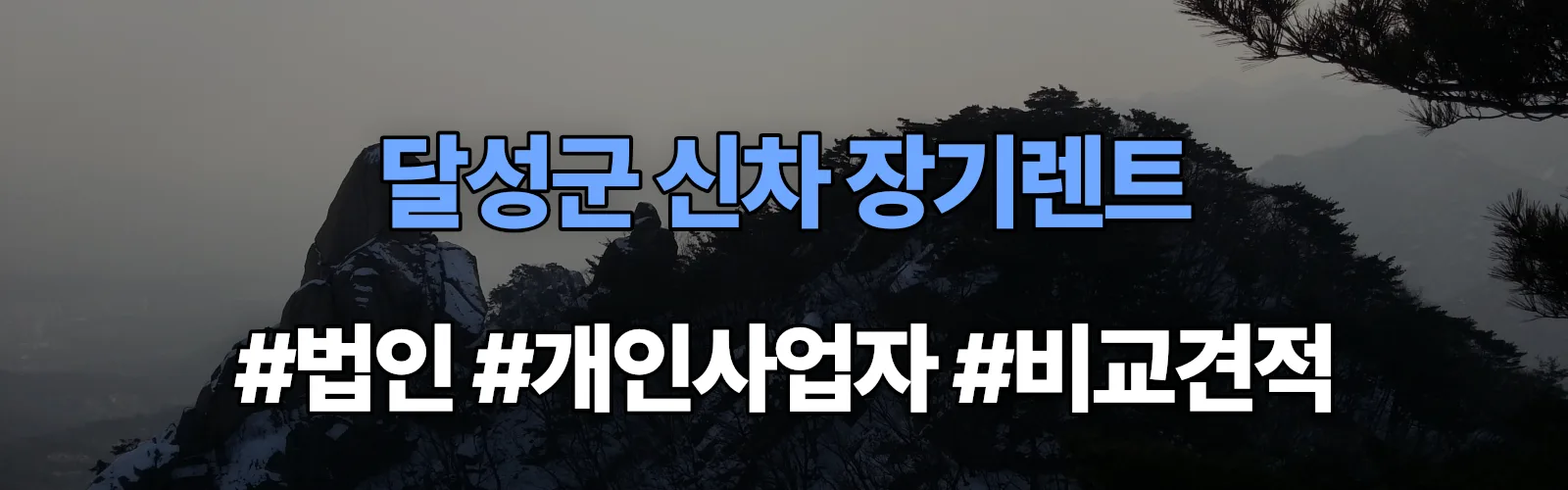 달성군 신차 장기렌트 비교견적