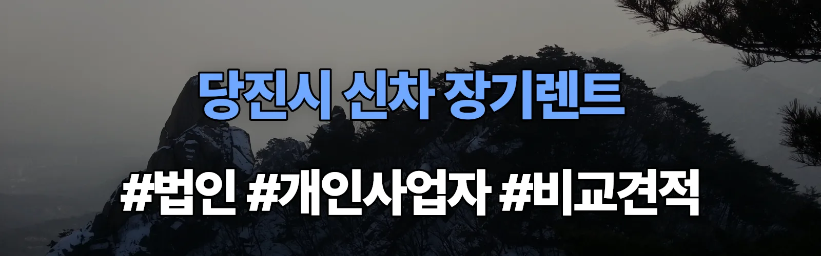 당진시 신차 장기렌트 비교견적