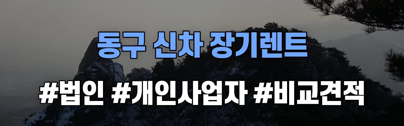 대구 동구 신차 장기렌트 비교견적