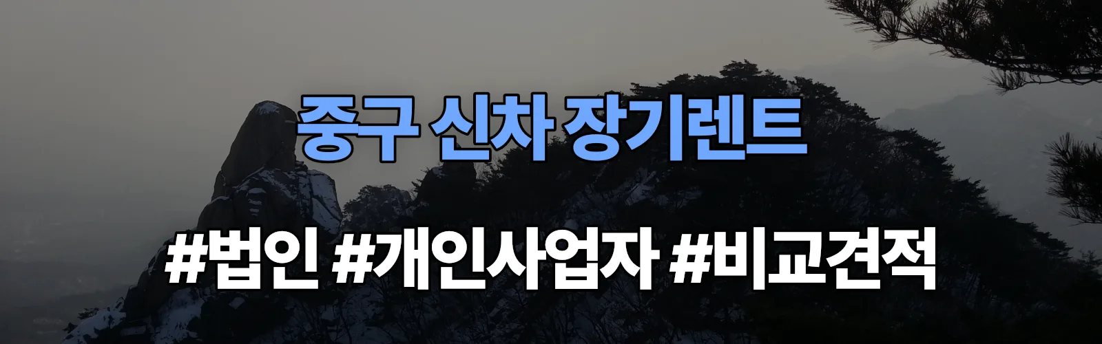 대구 중구 신차 장기렌트 비교견적