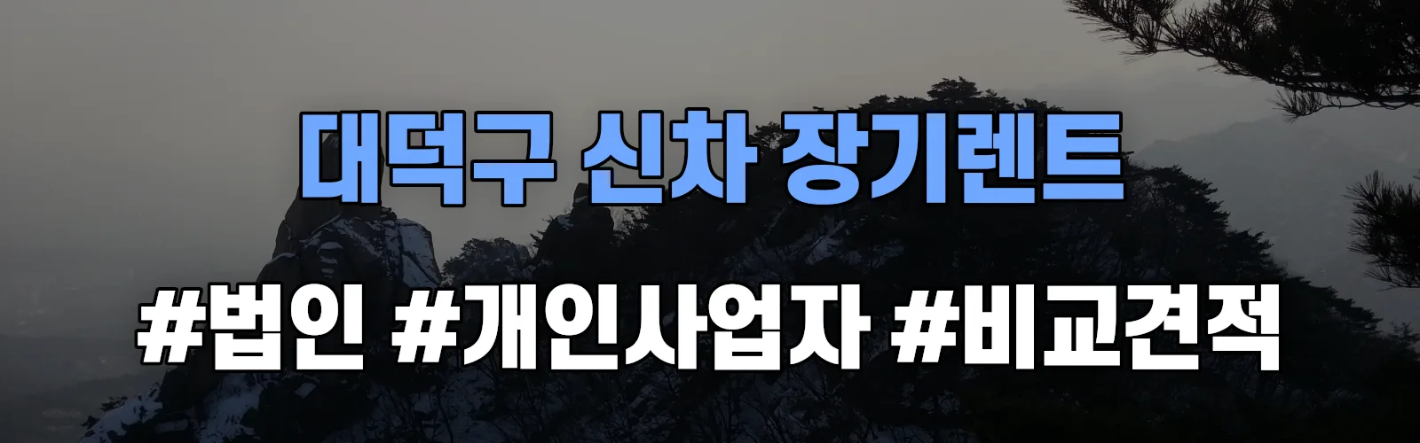 대덕구 신차 장기렌트 비교견적