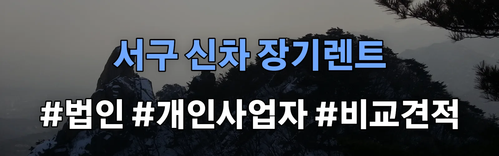 대전 서구 신차 장기렌트 비교견적