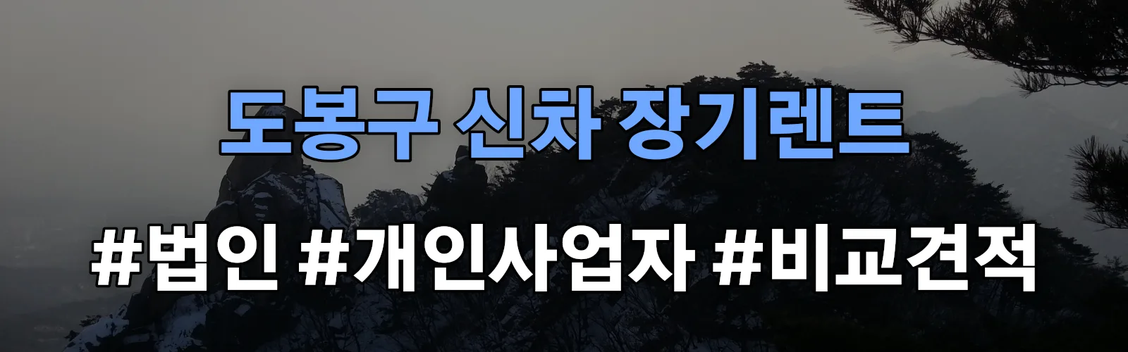 도봉구 신차 장기렌트 비교견적