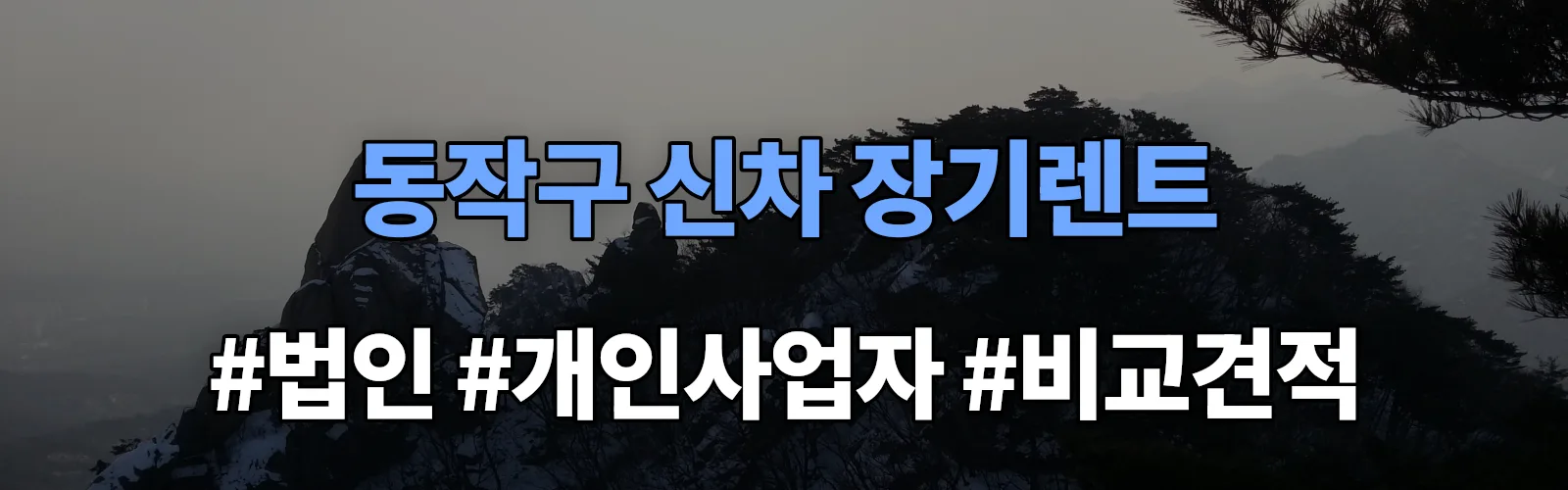 동작구 신차 장기렌트 비교견적