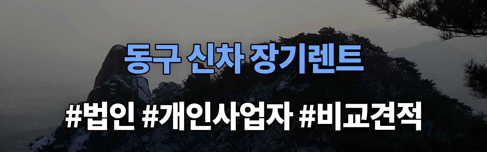 부산 동구 신차 장기렌트 비교견적