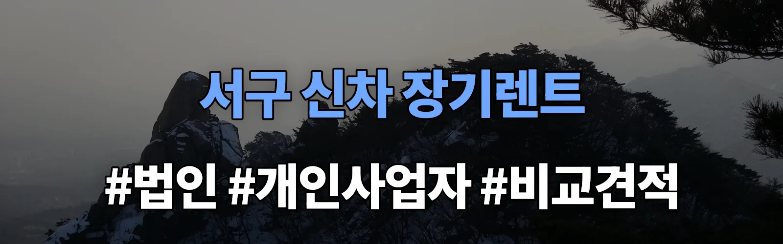부산 서구 신차 장기렌트 비교견적