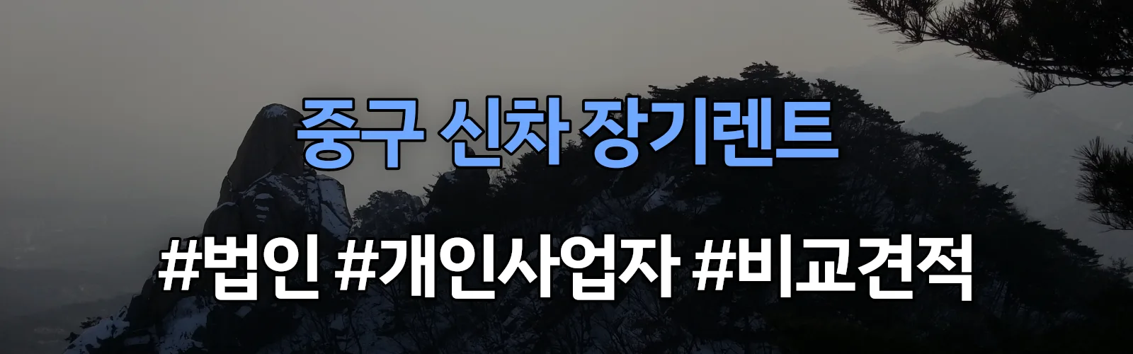 부산 중구 신차 장기렌트 비교견적