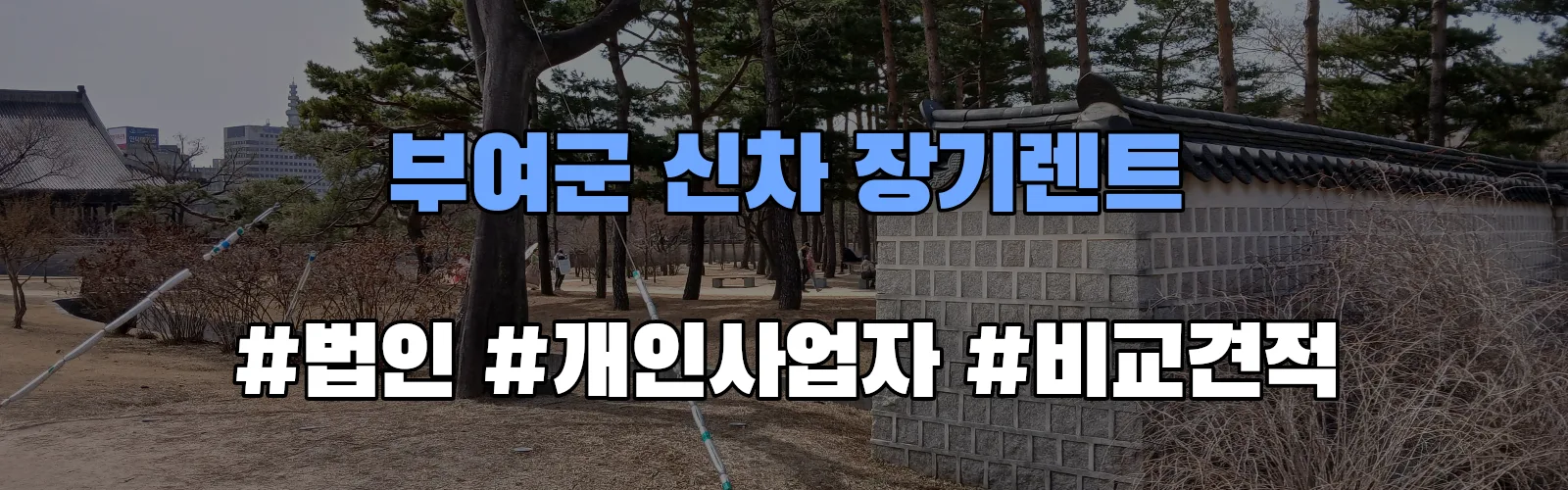 부여군 신차 장기렌트 비교견적