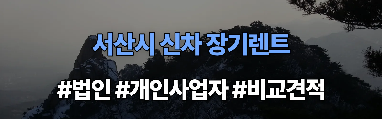 서산시 신차 장기렌트 비교견적