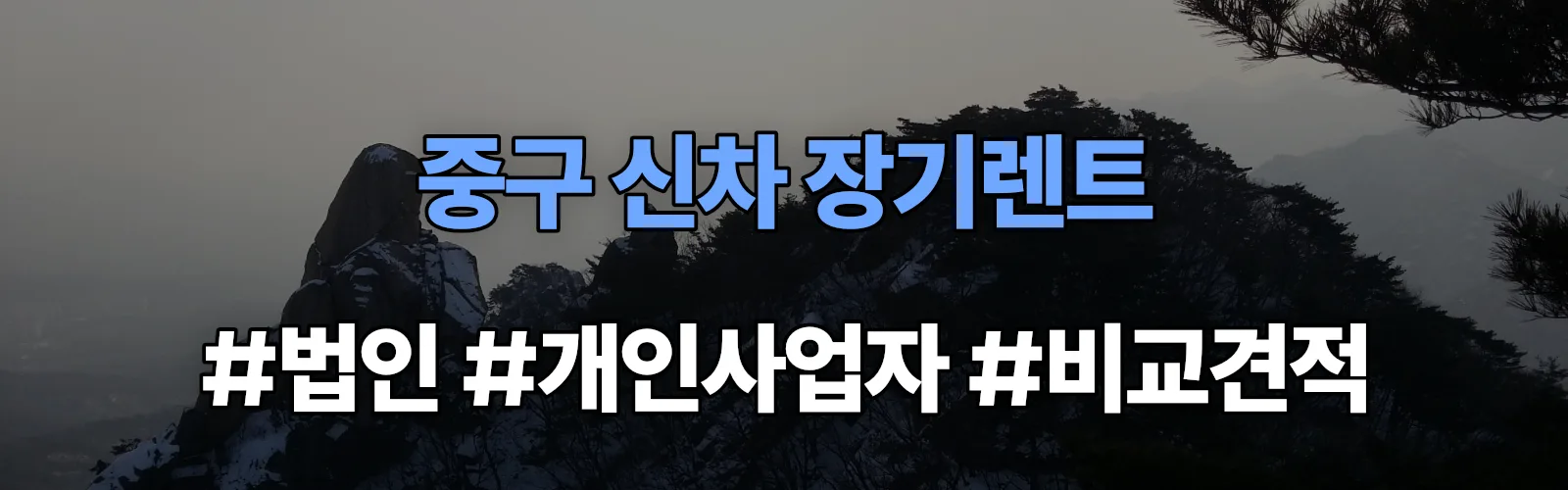 서울 중구 신차 장기렌트 비교견적