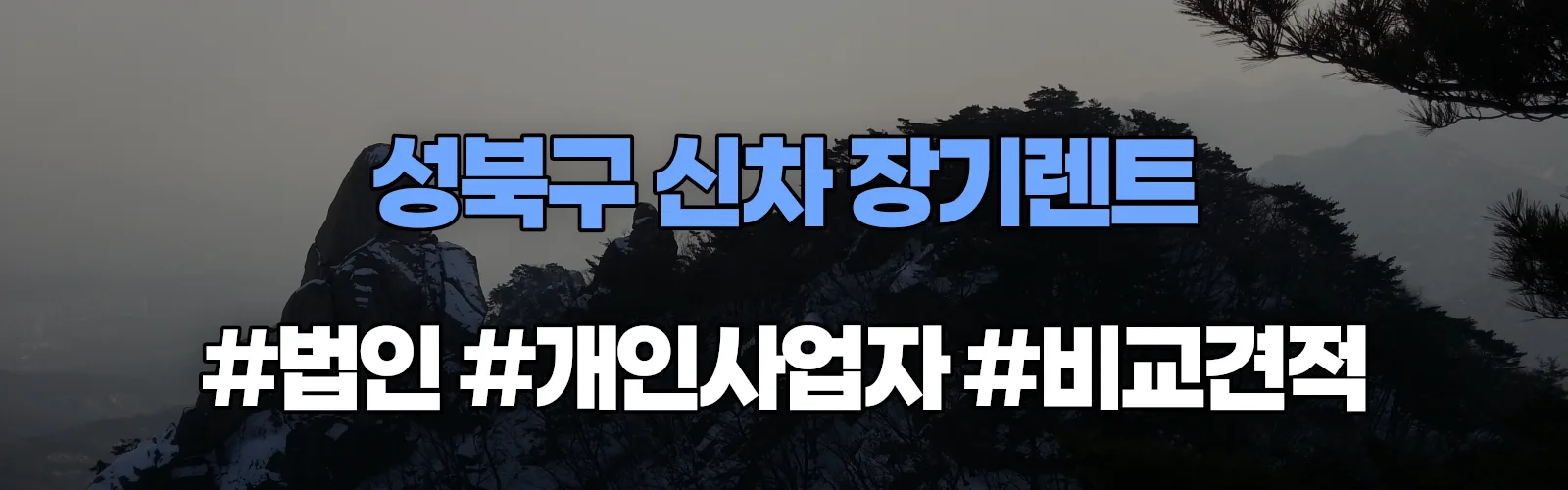 성북구 신차 장기렌트 비교견적