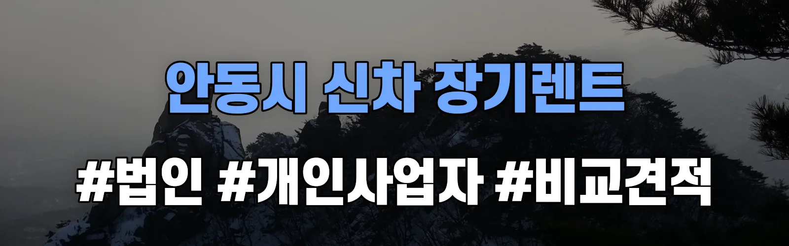 안동시 신차 장기렌트 비교견적