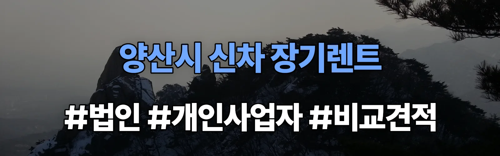 양산시 신차 장기렌트 비교견적