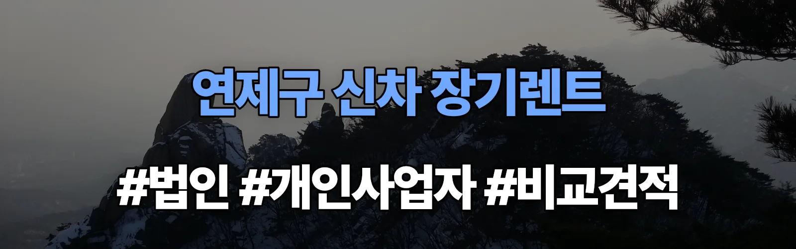 연제구 신차 장기렌트 비교견적