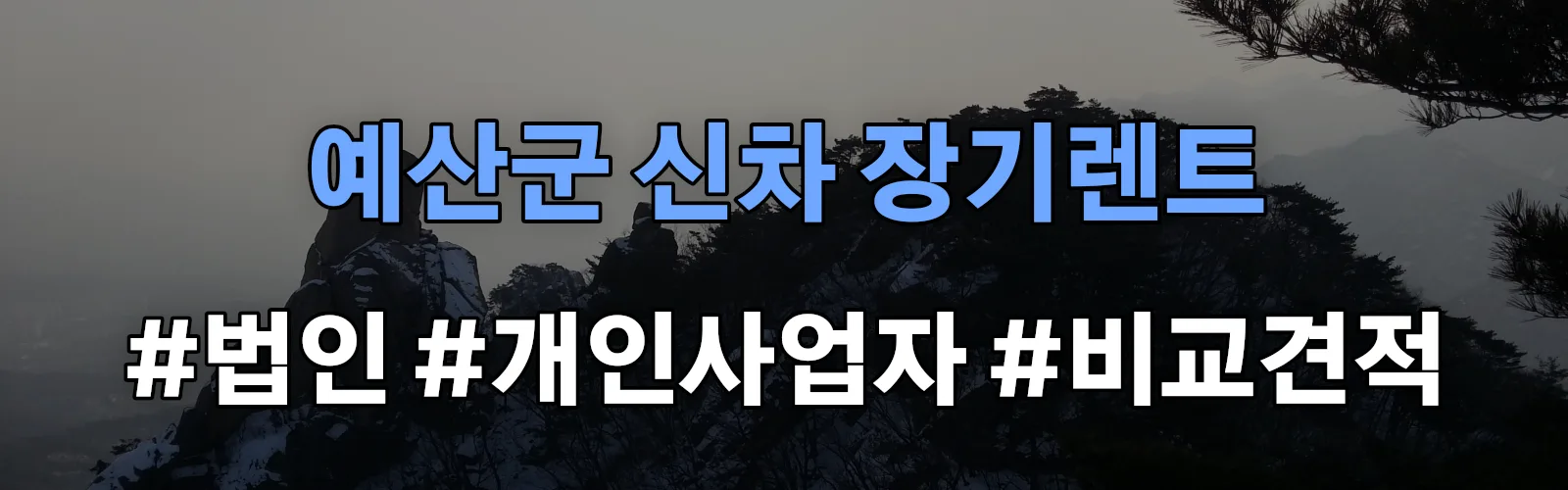 예산군 신차 장기렌트 비교견적