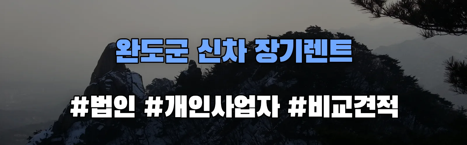 완도군 신차 장기렌트 비교견적