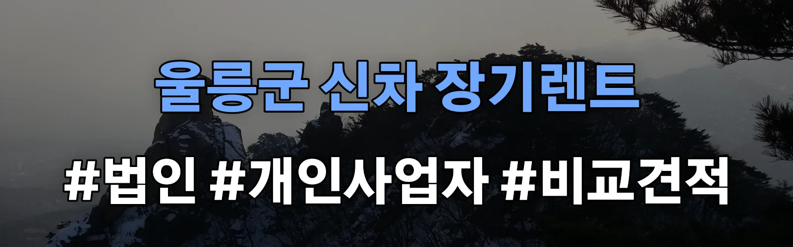 울릉군 신차 장기렌트 비교견적