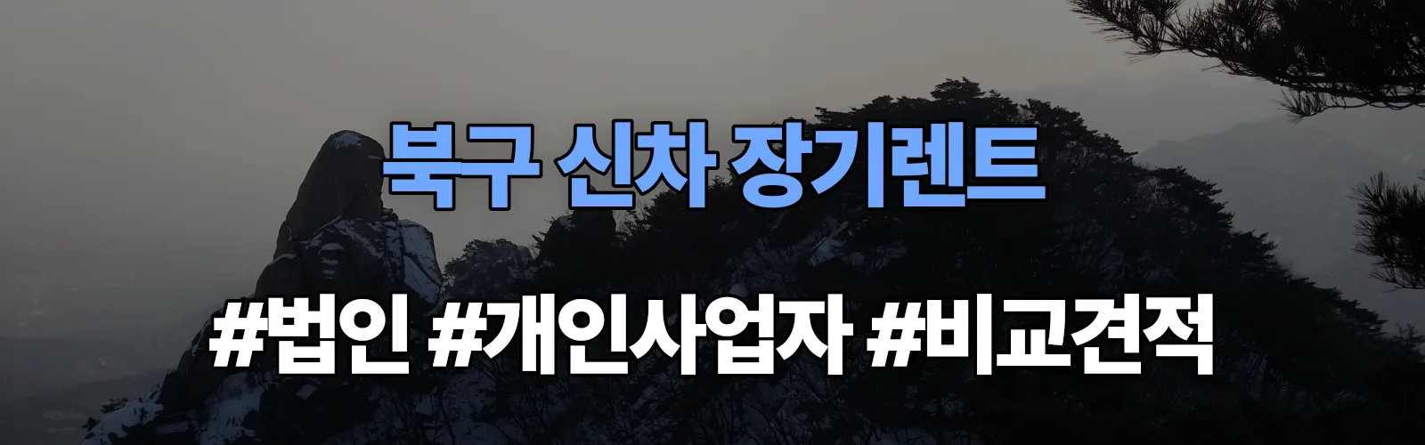 울산 북구 신차 장기렌트 비교견적