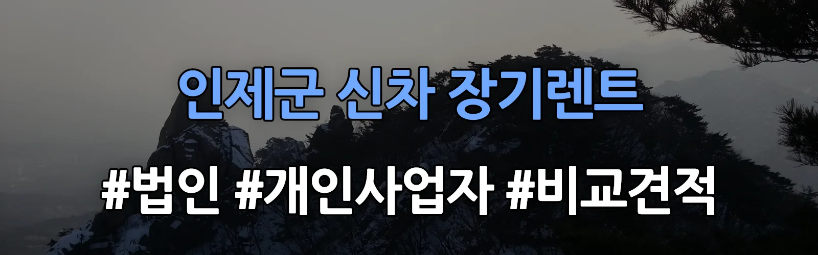 인제군 신차 장기렌트 비교견적