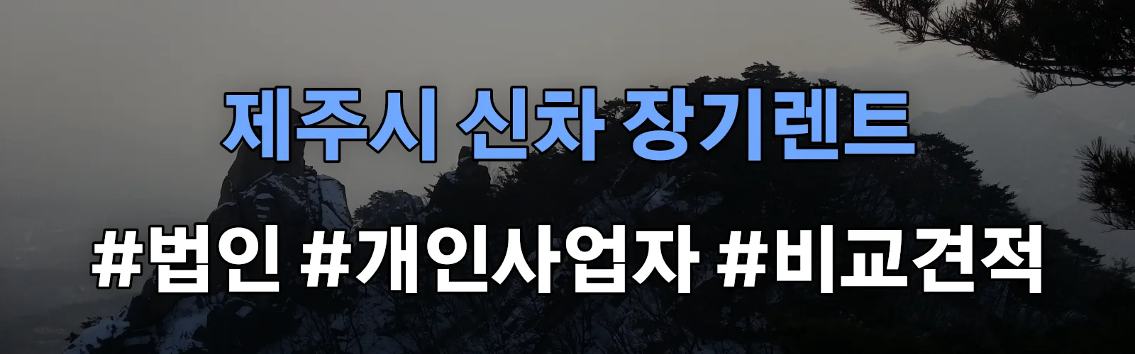 제주시 신차 장기렌트 비교견적