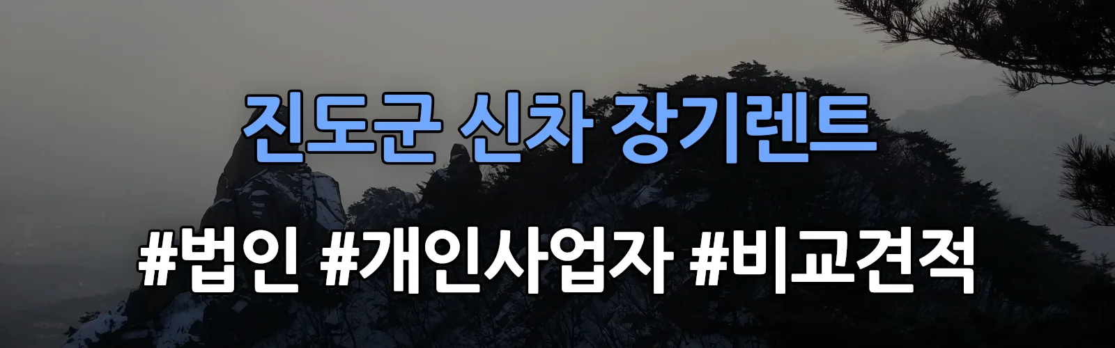 진도군 신차 장기렌트 비교견적