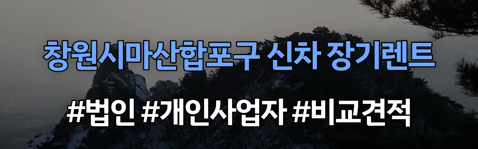 창원시마산합포구 신차 장기렌트 비교견적