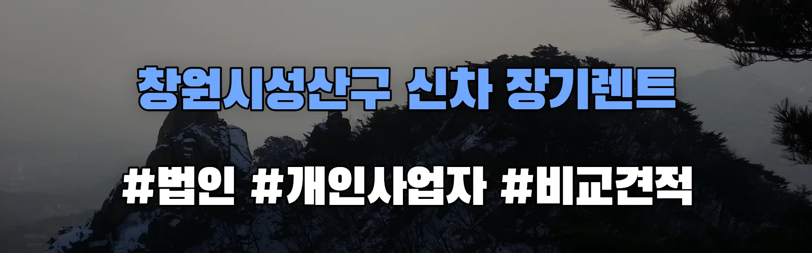 창원시성산구 신차 장기렌트 비교견적