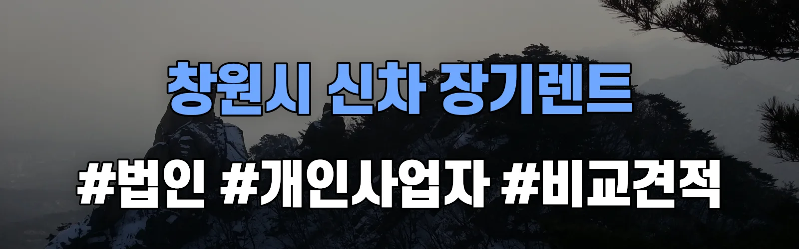 창원시 신차 장기렌트 비교견적