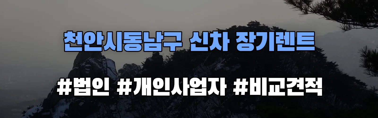 천안시동남구 신차 장기렌트 비교견적
