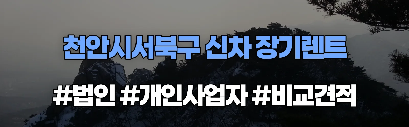 천안시서북구 신차 장기렌트 비교견적