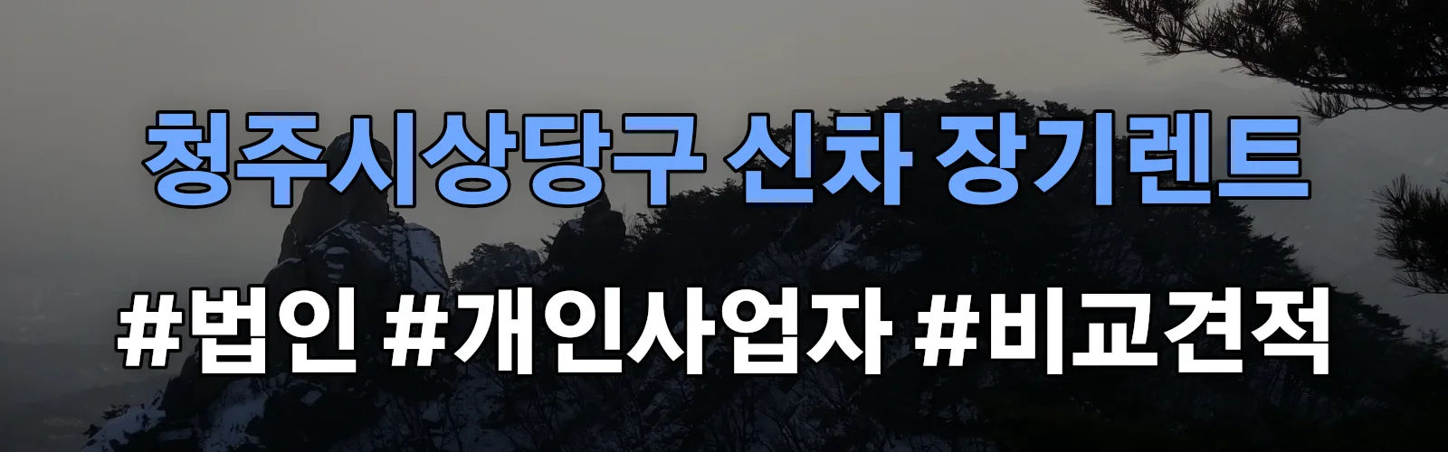 청주시상당구 신차 장기렌트 비교견적