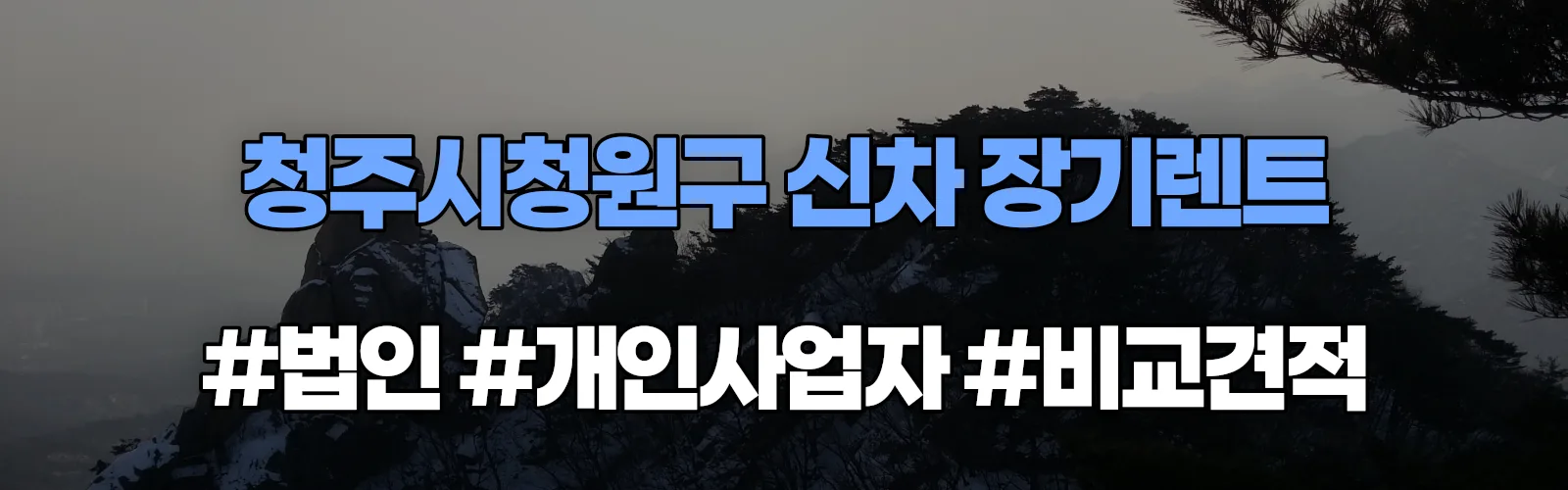 청주시청원구 신차 장기렌트 비교견적