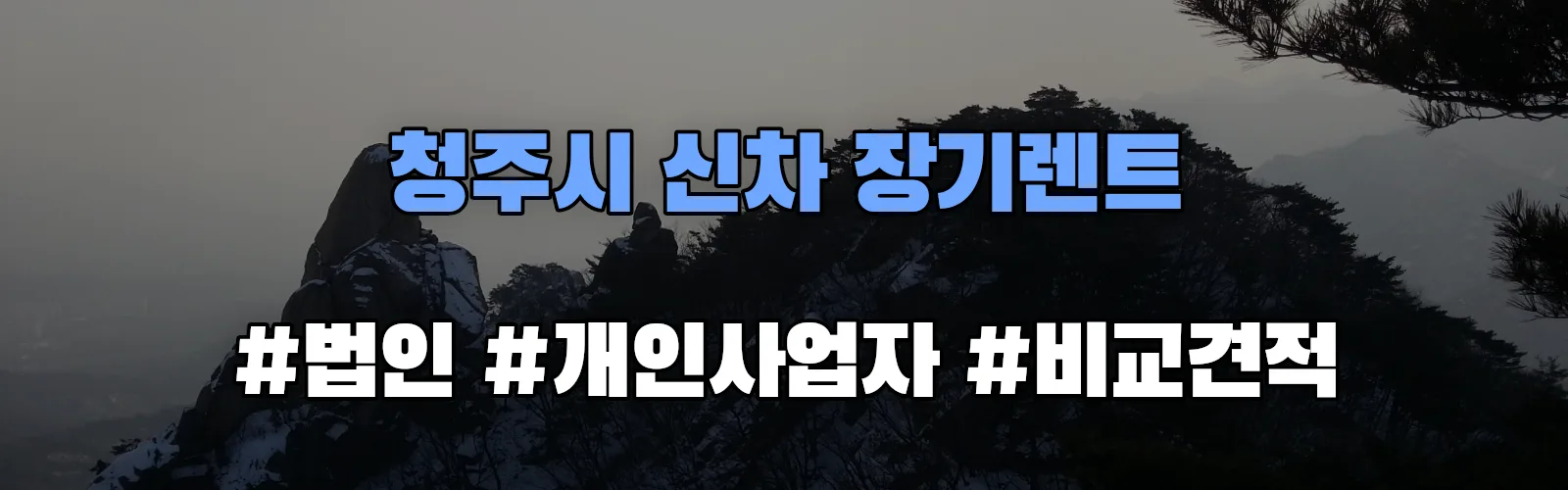 청주시 신차 장기렌트 비교견적