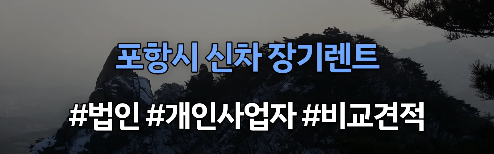 포항시 신차 장기렌트 비교견적