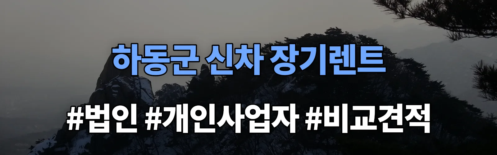 하동군 신차 장기렌트 비교견적