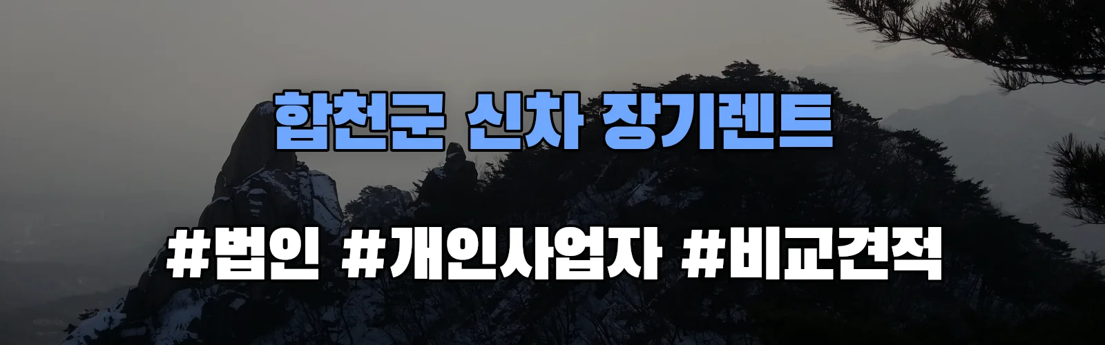합천군 신차 장기렌트 비교견적