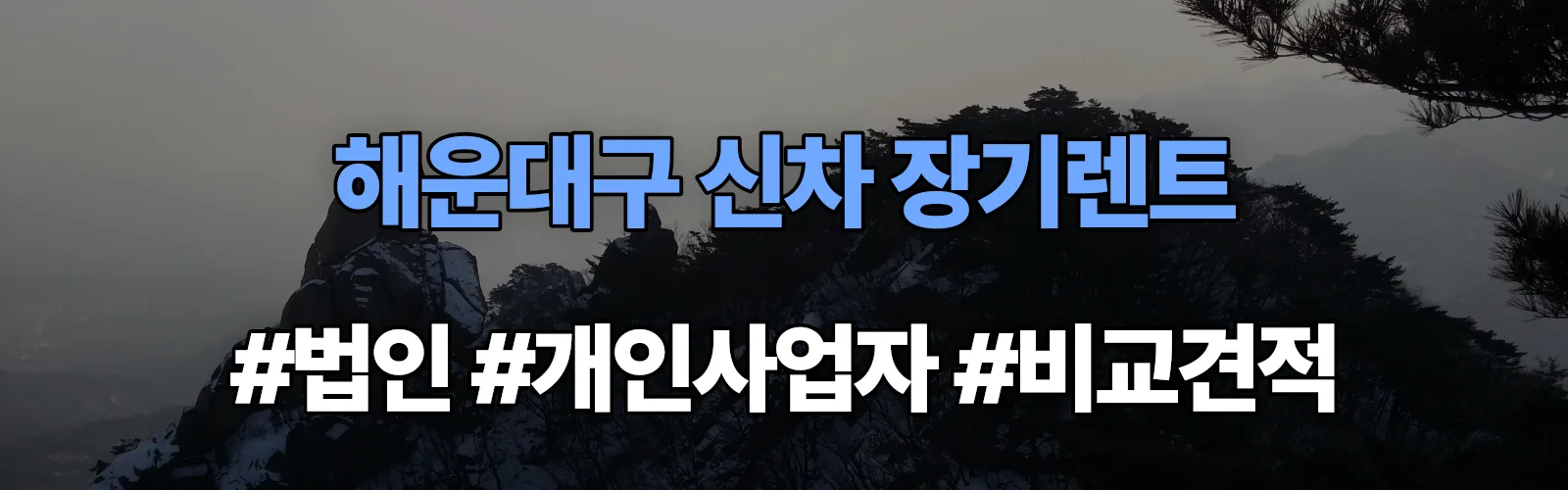해운대구 신차 장기렌트 비교견적