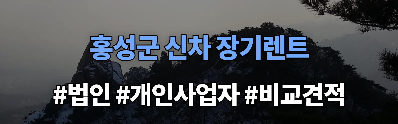 홍성군 신차 장기렌트 비교견적