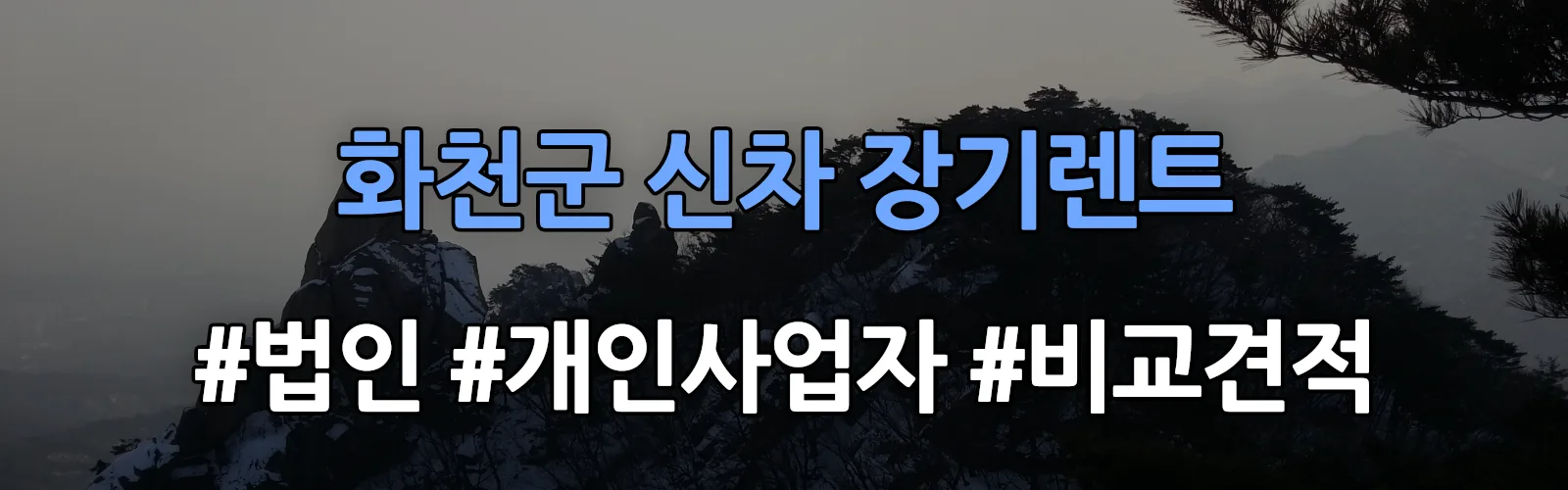 화천군 신차 장기렌트 비교견적